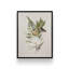 «Garden Greens II» par House Fenway, reproduction d'art-1775727744-1775727772-1775727770