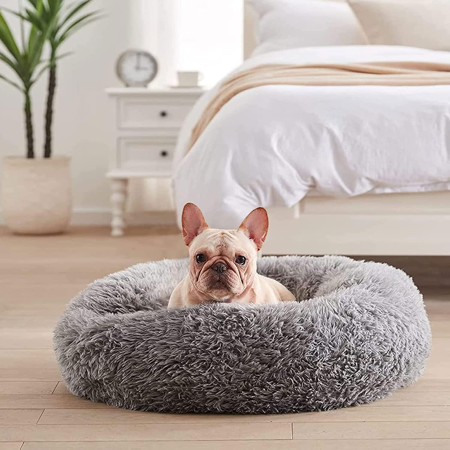 Tucker Murphy Pet™ Calming Dog Bed For Home, Anti-anxiety Round