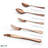 Luly Reflective 40-Piece Colored Stainless Steel Flatware Set-115303212