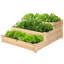 Davin Wood Raised Garden Bed