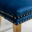 Chaise de salle à manger rembourrée en velours moderne avec anneau à tirer (ensemble de 2)-1415673428-1415673408