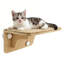Perchoir pour chat à ventouses, plateforme de saut et griffoir mural pour chat, capacité de 15 kg