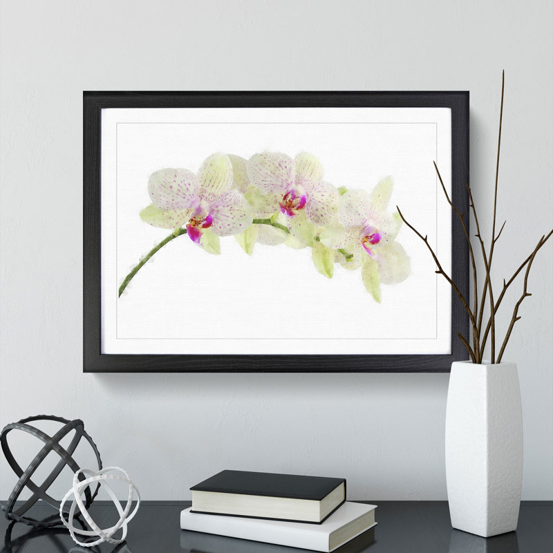 Orchid Flowers Vol.1 - Picture Frame Painting, Black Framed, 27cm H x 36cm W x 2cm D