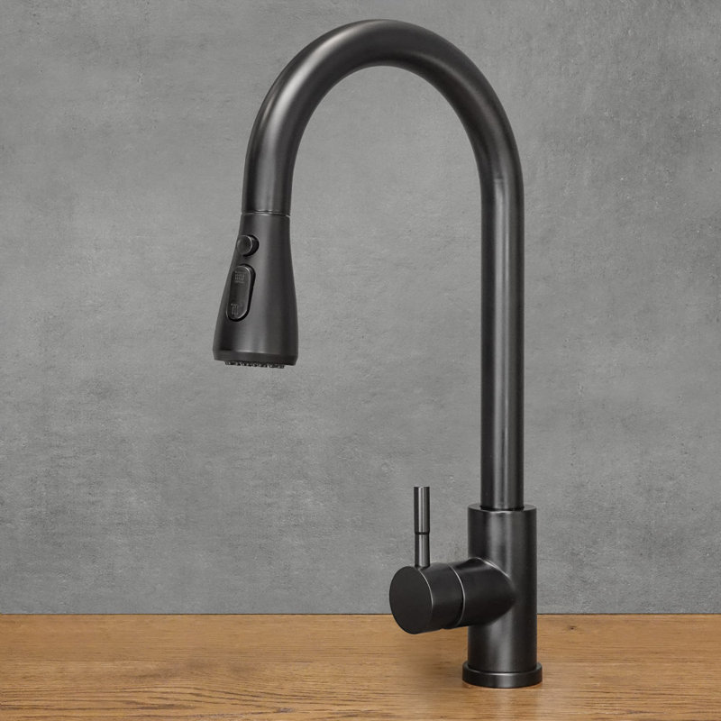 Belfry Kitchen Kitchen Faucet, Black