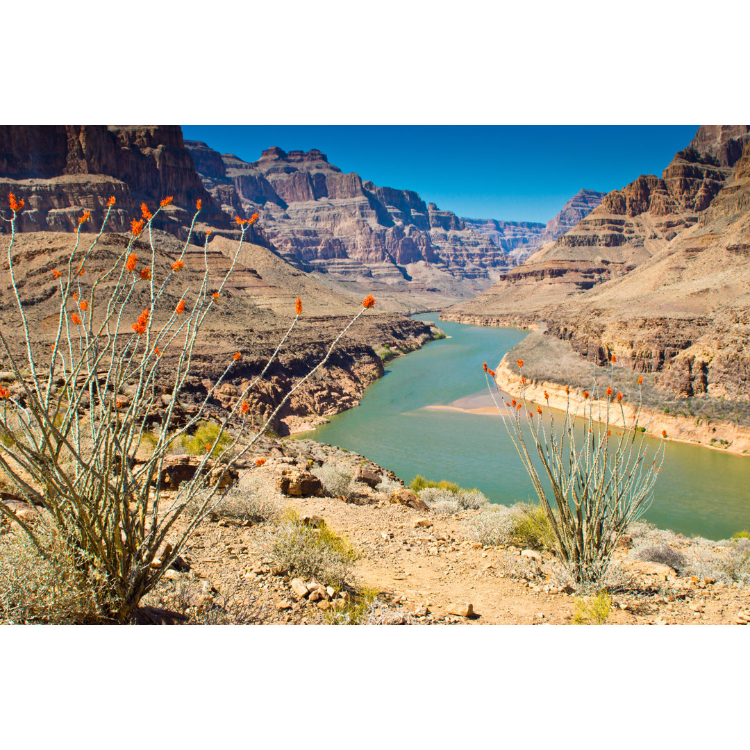 Grand Canyon Lake Mead von Algraphic - Kunstdrucke auf Leinwand