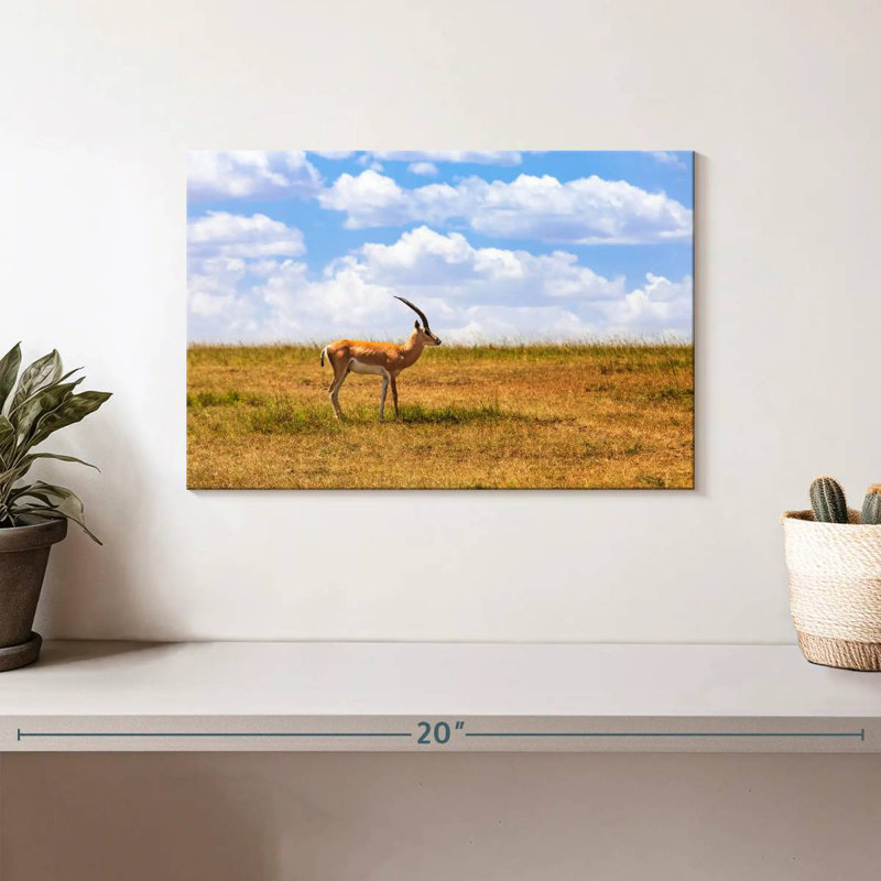 Gazelle Brampt dans la savane, H 8 po x l 12 po