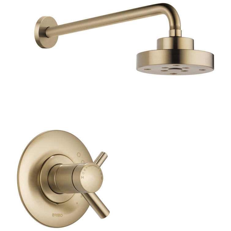 Odin® TempAssure® Thermostatic Shower Only