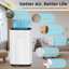 25L Compact Dehumidifier