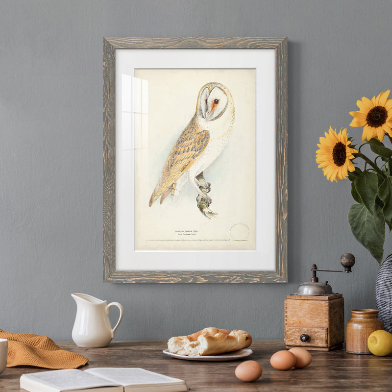 Barn Owl Premium encadré mat - prêt à accrocher, Cadre gris, H 20 po x l 17 po x P 1 po