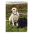 Double Sided Polyester Animal Garden Flag-275990961