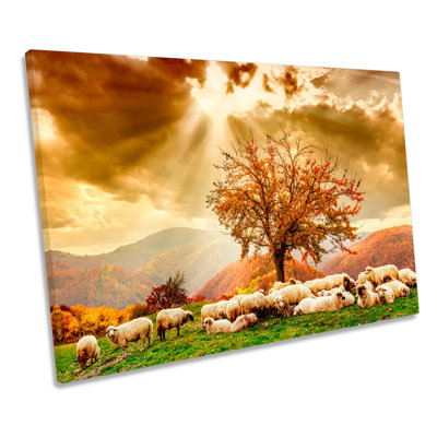 Highlands Sunset Landscape Sheep - Wrapped Canvas Art Prints