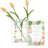 Set Of 2 Modern Decorative Acrylic Clear Book Shaped Vase