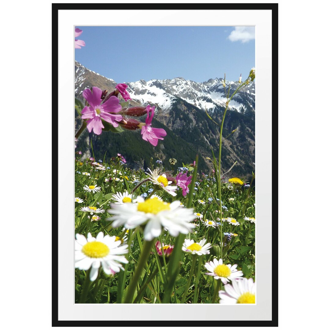 Gerahmtes Poster Wunderschöne Blumen Alpenwiese