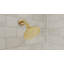 Pomme de douche Formosa, laiton poli-121869647