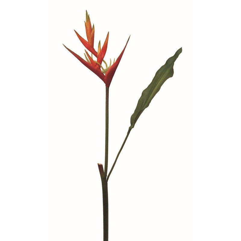 Arrangement