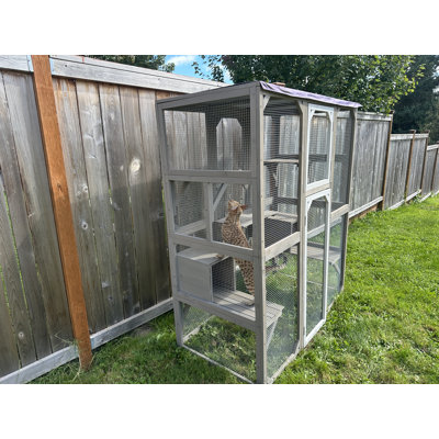 Cat Enclosure Outdoor Cat House