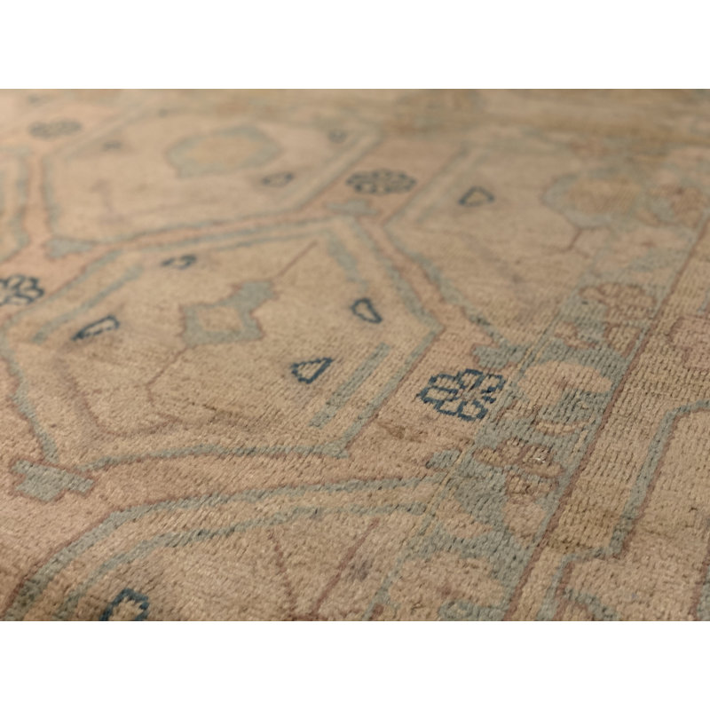 Wool Oriental Area Rug in Tan/Ivory
