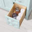 Ensemble de meuble-lavabo sur pied simple 36 po avec comptoir et lavabo Juniper-1145960667