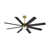Gold with Black Blades
