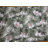 Rosado Upholstered 57'' Loveseat-31891018-31891021