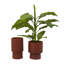 Ensemble de pots à fleurs 2 pièces Robbins-354356601-354356607
