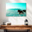 Brampt, chevaux islandais-107853397