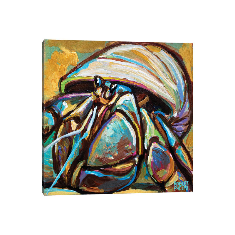 Hermit Crab by Robert Phelps - Wrapped Canvas Gallery-Wrapped Canvas Giclée, Wrapped Canvas