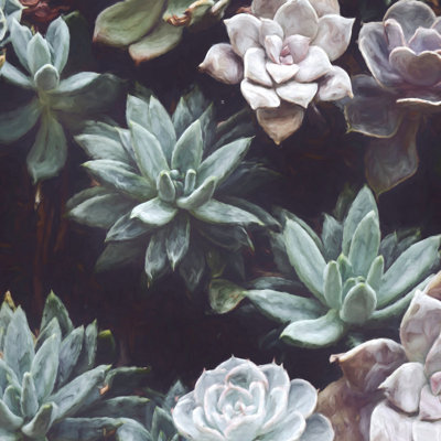 Succulent Garden - Wrapped Canvas Painting