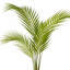 Anneloes 70cm Faux Palm Tree in Pot Liner