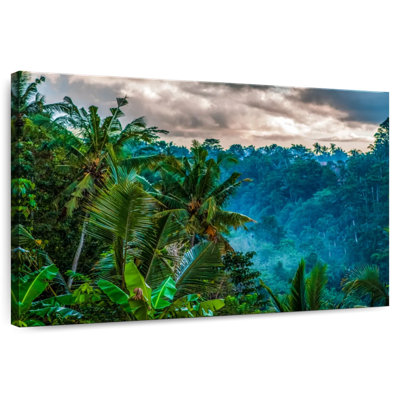 Alvord Ubud Tropical Palm Forest