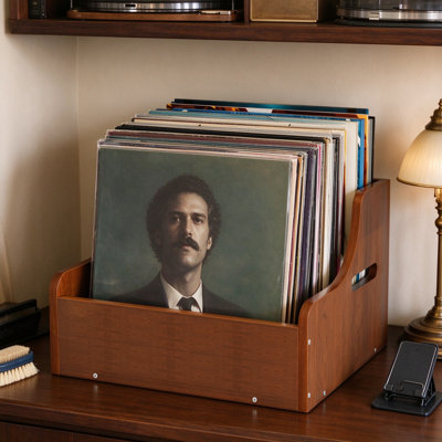 Boîte de rangement pour disque vinyle massif avec séparateurs amovibles