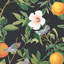 Floral Wallpaper Double Roll