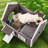Gerardas Cat House