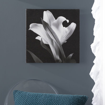 " Wrapped Canvas Wall Art - Michael Harrison 'Lily' Wall Art For Living Room, Bedroom, Or Office Décor - 18x18 " by Michael Harrison