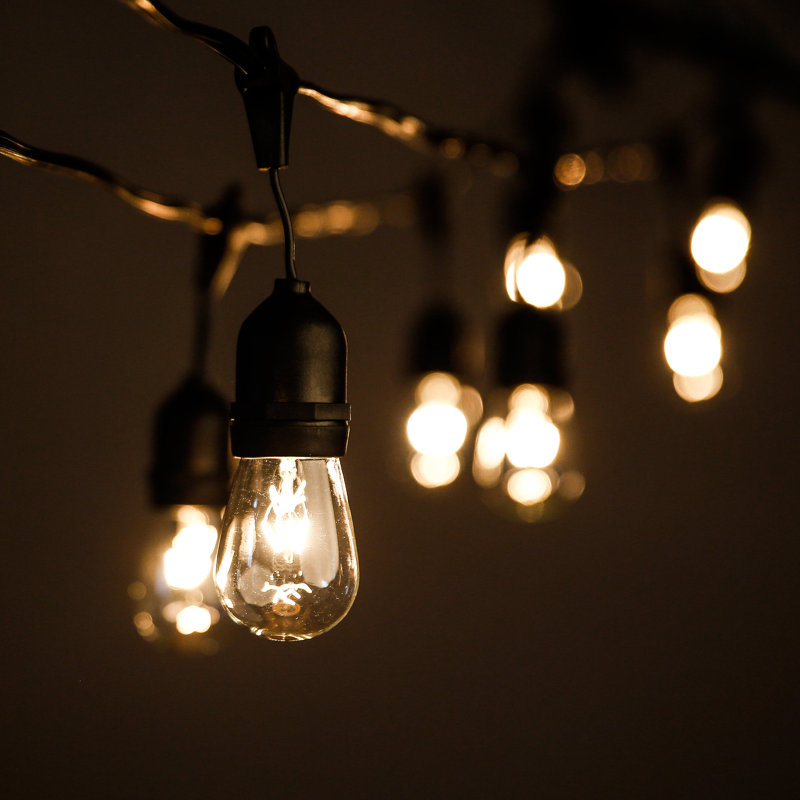 Outdoor 12 - Bulb 24'' Plug-in String Light