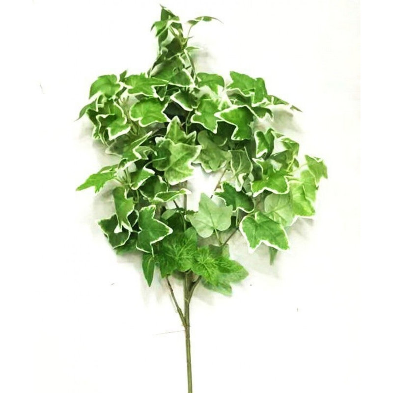 English Ivy Pick