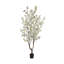 5.5' Cherry Blossom Tree with Bamboo Planter-420896964
