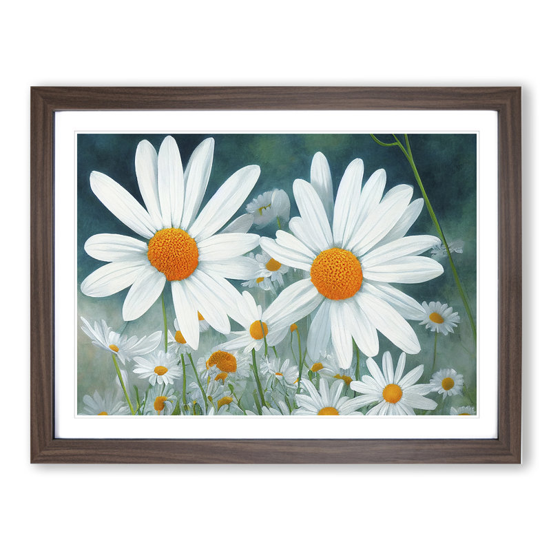 Daisy Flower Vol.1 - Framed Print, 25cm H x 34cm W x 2cm D, Walnut