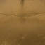 1 - Light Gold Pendant-1514215513