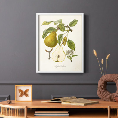 Vintage Pears II Framed Print - Solid Wood