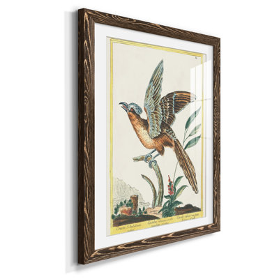 Cadre Pastel Birds IV Premium - prêt à accrocher