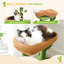 Arbre à chat Cactus