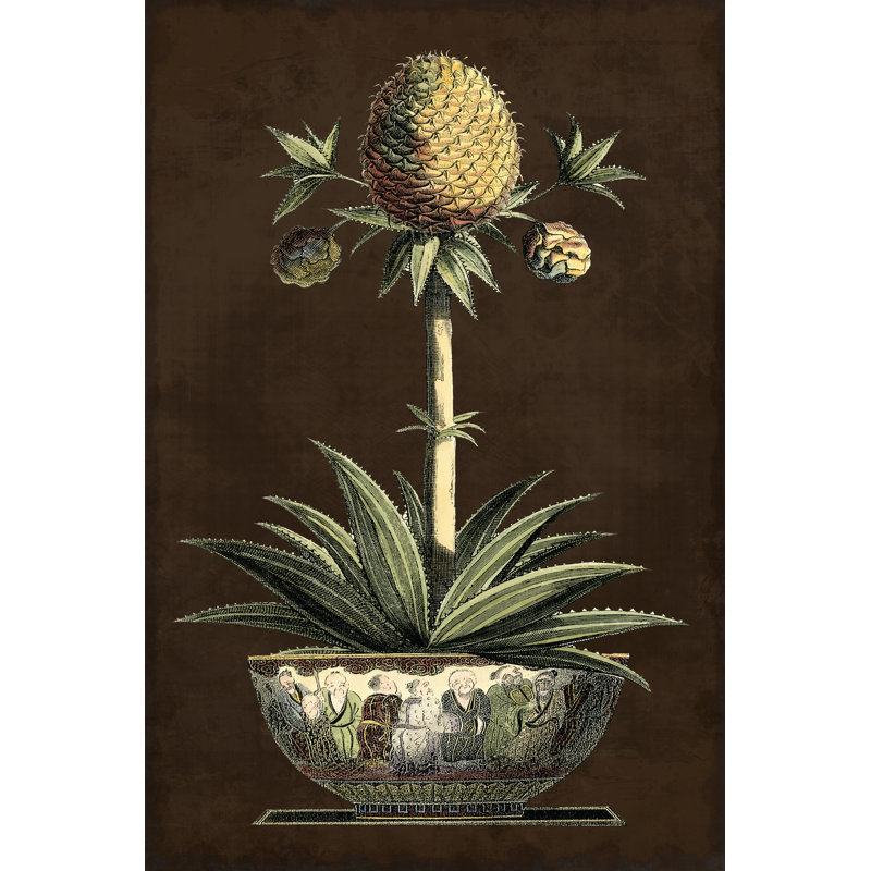 Potted Pineapple I by Vision Studio - Wrapped Canvas Art Prints, 91cm H x 61cm W x 3.8cm D