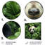 «Foliage Peekaboo Panda III», art mural animal panda en métal-530045475