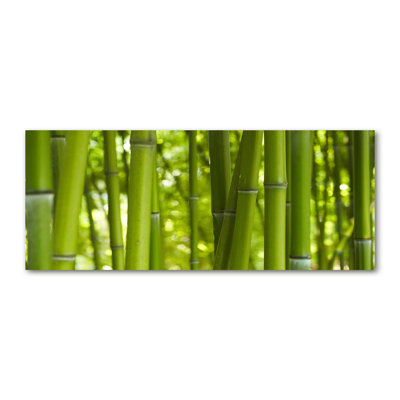 Bamboo - Wrapped Canvas Print