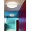 Flush Mount