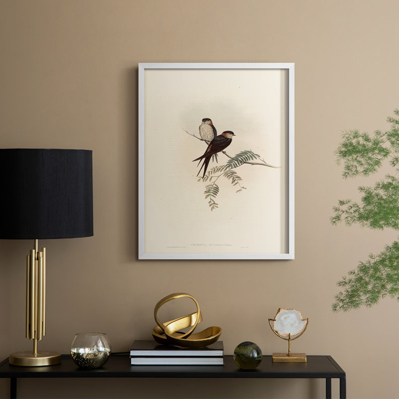 «Vintage Animal Print», impression encadrée en bois massif, H 30 po x l 24 po, Blanc