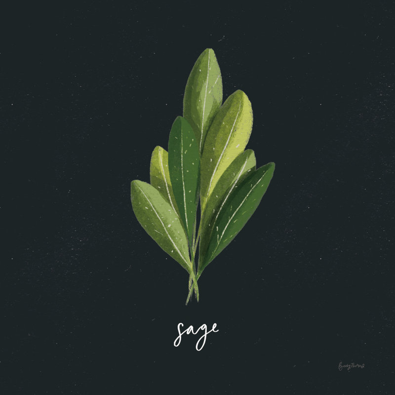 «Herbs II» par Becky Thorns - impression sur toile tendue, H 36 po x l 36 po