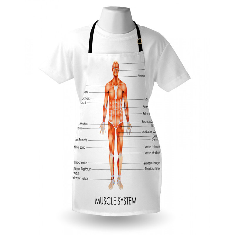 Bib Apron