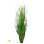 Herbe 60 po-2050178012